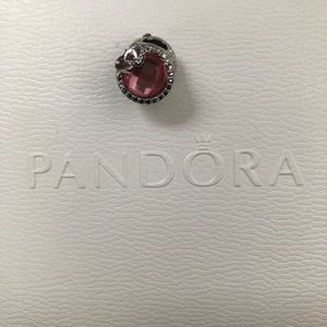 Pandora Charm